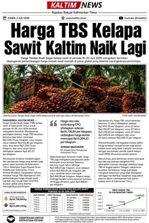 Harga TBS Kepala Sawit Kaltim Naik Lagi
