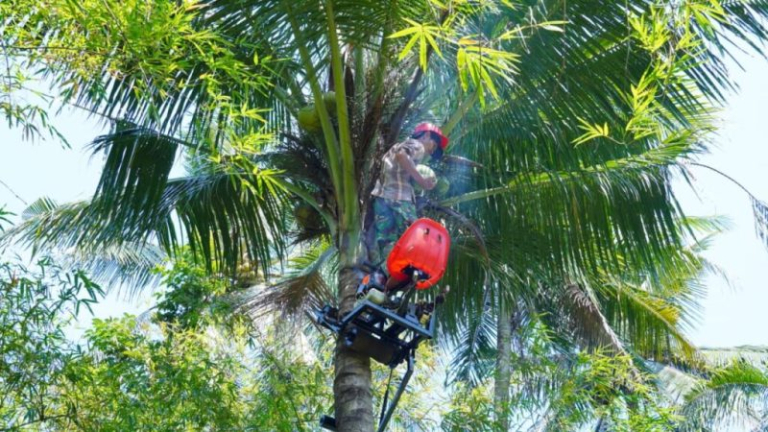 ITS Perkenalkan Mocits, Teknologi Panjat Kelapa yang Lebih Aman dan Efisien